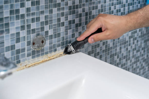 Best Preventive Mold Services in Ashland, MO