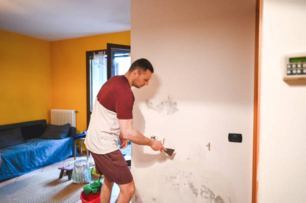 Best DIY Mold Remediation Support Services in Ashland, MO